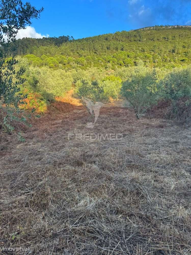 Terreno Urbanizável com 600 m² – Alqueidão da Serra | 10 minutos de... - Grande imagem: 3/25
