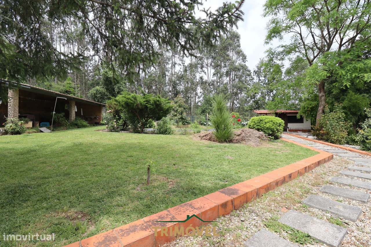 Moradia Isolada T3 Venda em Ossela,Oliveira de Azeméis-36