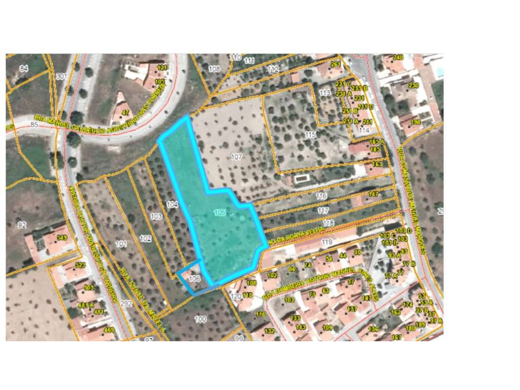 Magnífico Terreno com Viabilidade de Construção no Centro de Mação-20