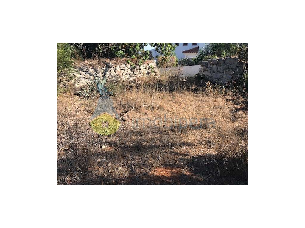 PARCELA DE TERRENO COM VISTAS FANTÁSTICAS - Grande imagem: 3/15