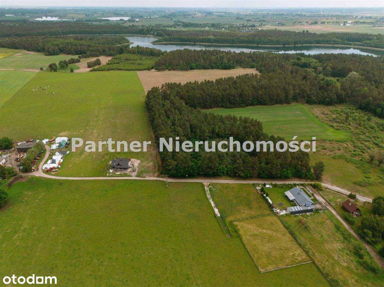 Kamionki Małe, las , jezioro w zasięgu ręki - Pełny obrazek: 5/17