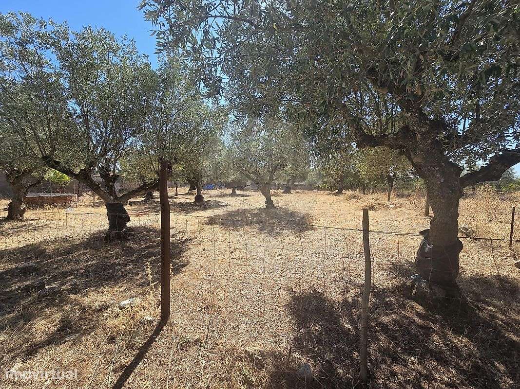 Terreno  para venda - Grande imagem: 5/5