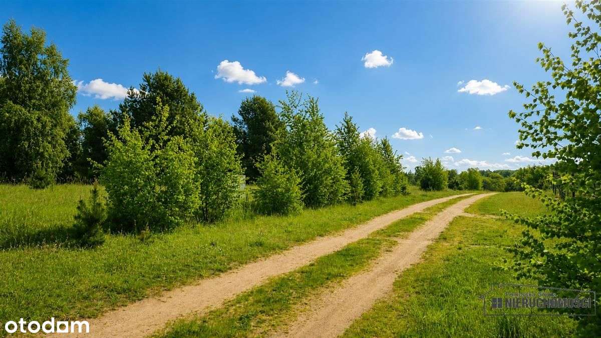 Działka budowlana nad pięknym jeziorem Dołgie.-11