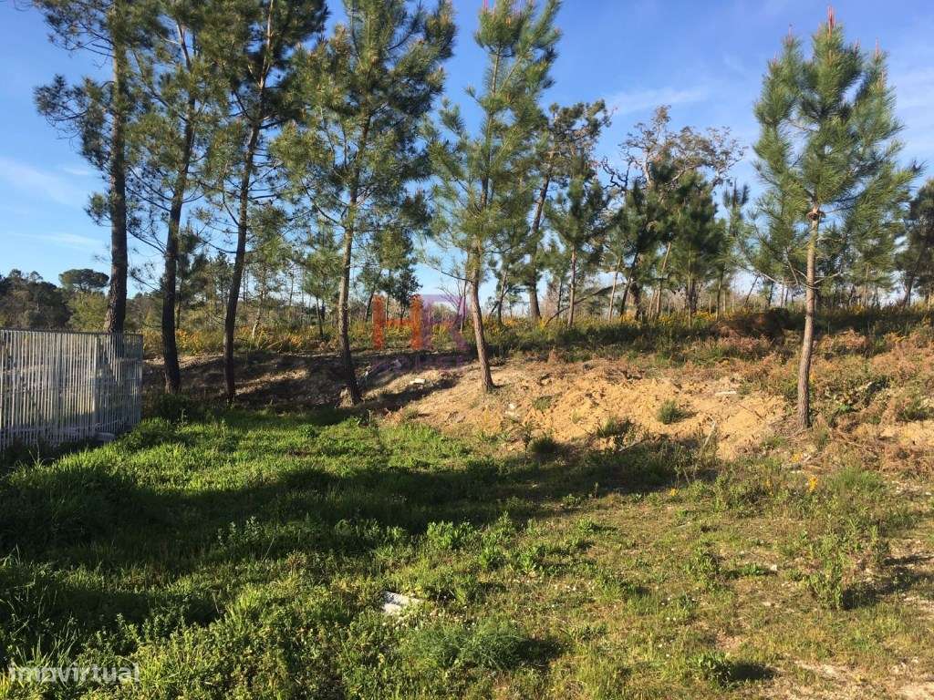 Terreno Misto - Grande imagem: 4/9