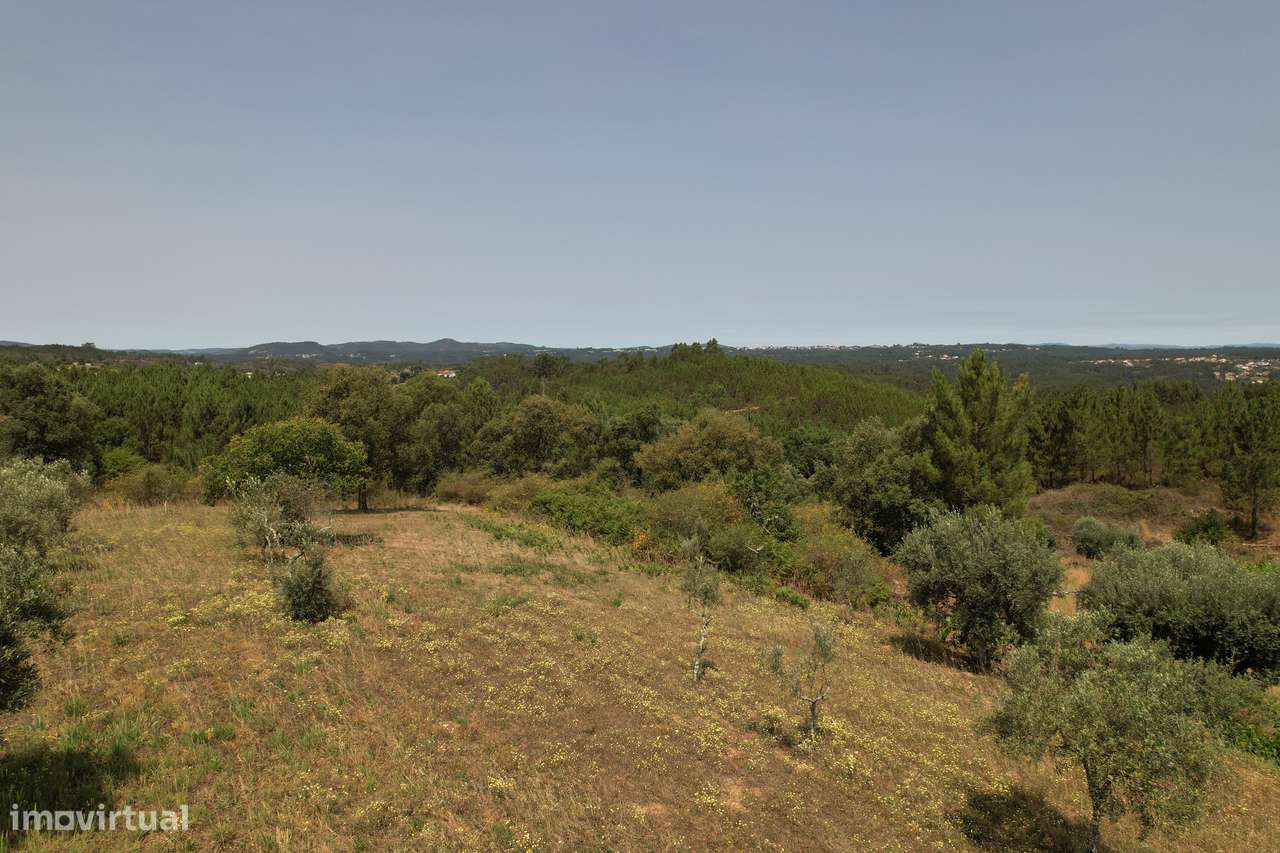 Terreno urbanizável de 4200m2, permite construção de moradia de 210m2-4