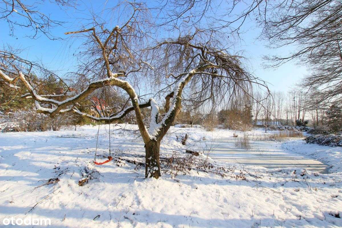 Posiadłość z własnym stawem z linią lasu | 1,9 ha - Pełny obrazek: 4/11