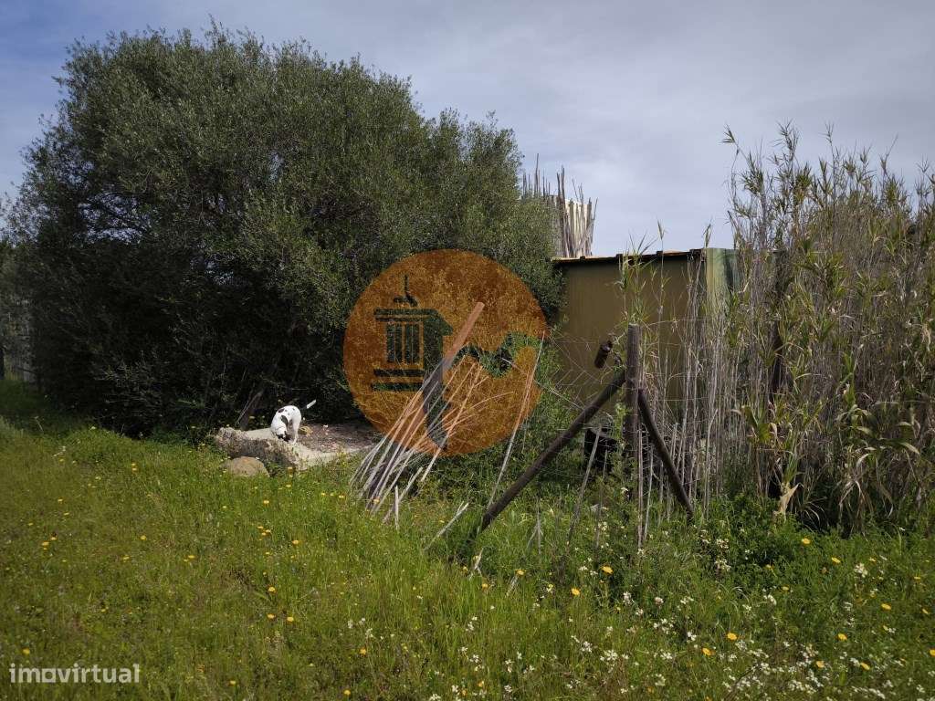 TERRENO COM 1.360 M2 - COM FURO - ÁGUA E ELETRICIDADE - JUNTO AO RI... - Grande imagem: 4/45