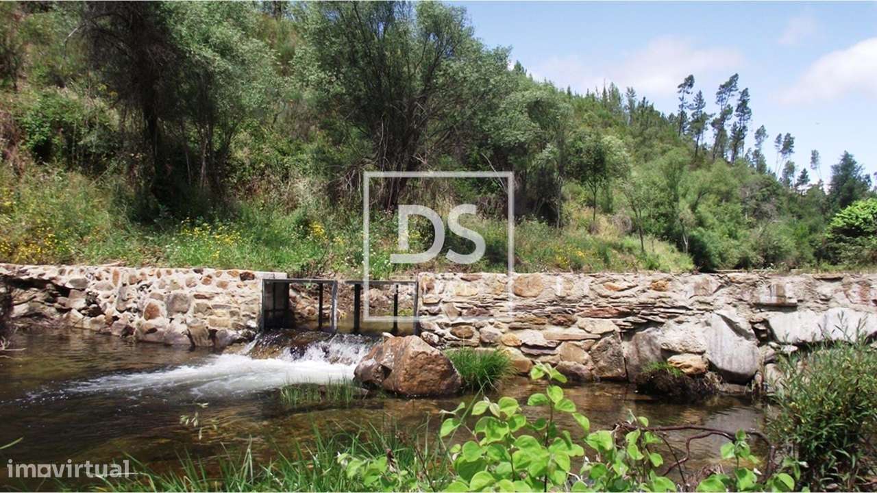 Terreno Rústico em Almaceda - Grande imagem: 2/9