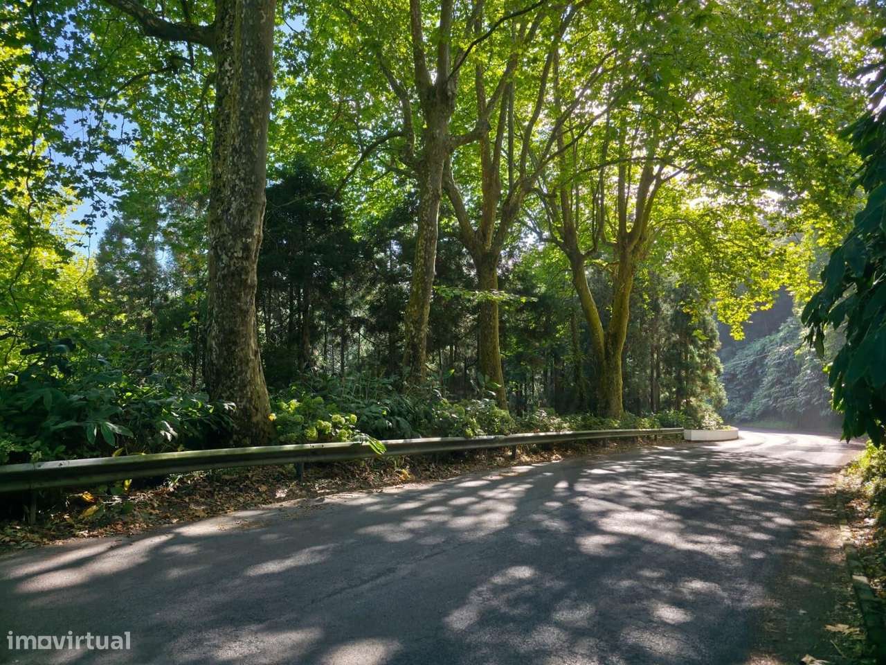 Terreno Rústico em Lomba da Maia-5