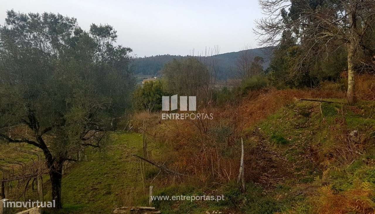 Venda de Terreno, Bárrio, Ponte de Lima - Grande imagem: 2/7