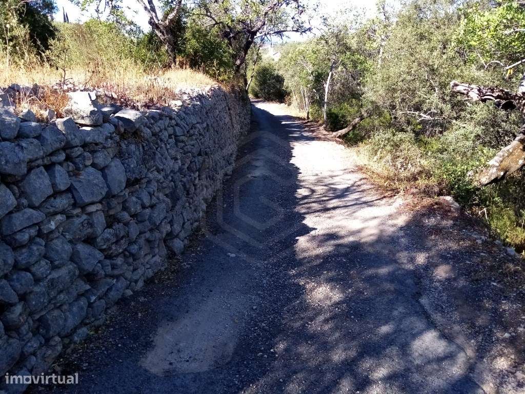 Terreno rústico com uma área de 3207 m2, Loulé, Algarve - Grande imagem: 4/23