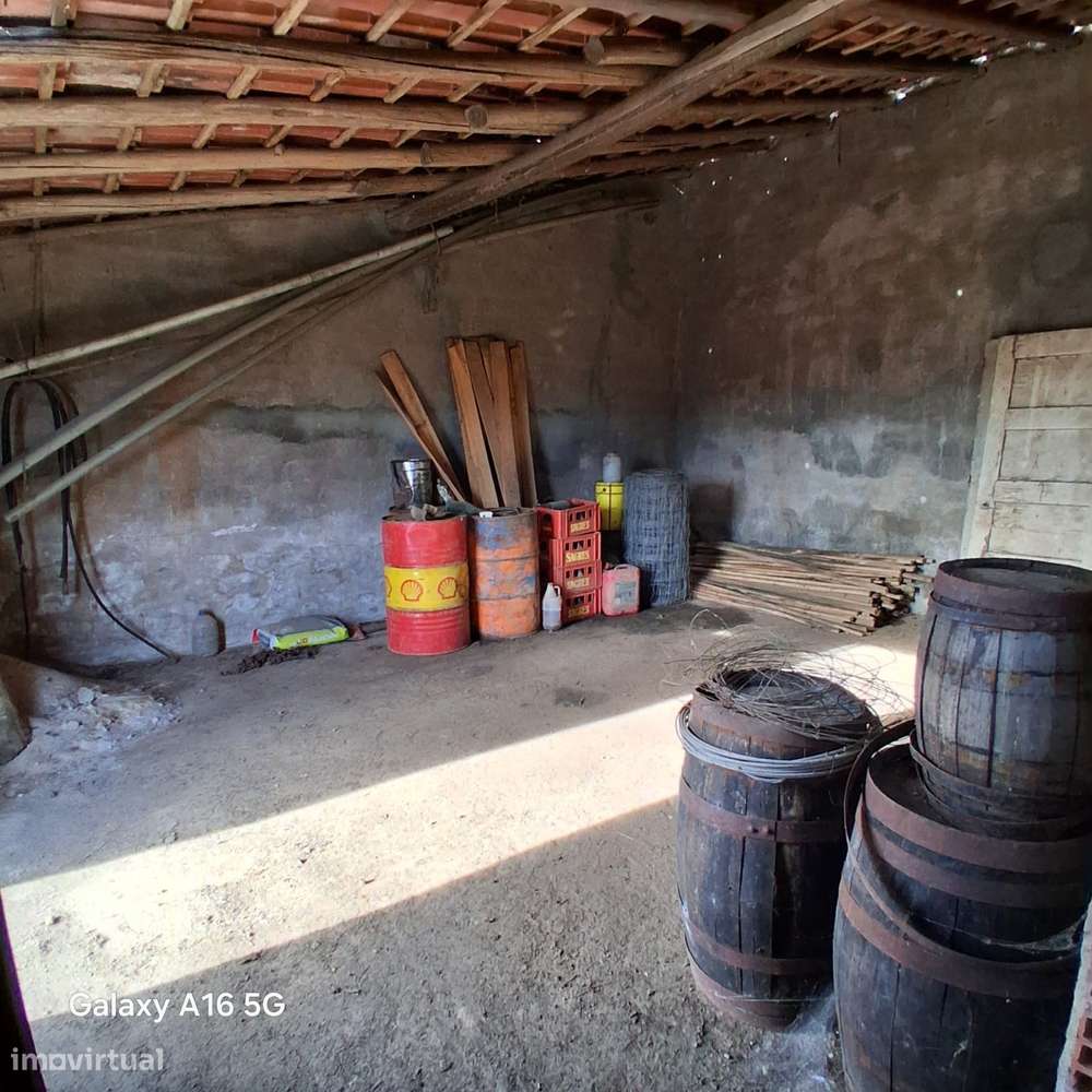 Garagem Dupla com Quintal - Cepos (Arganil) - Grande imagem: 2/10