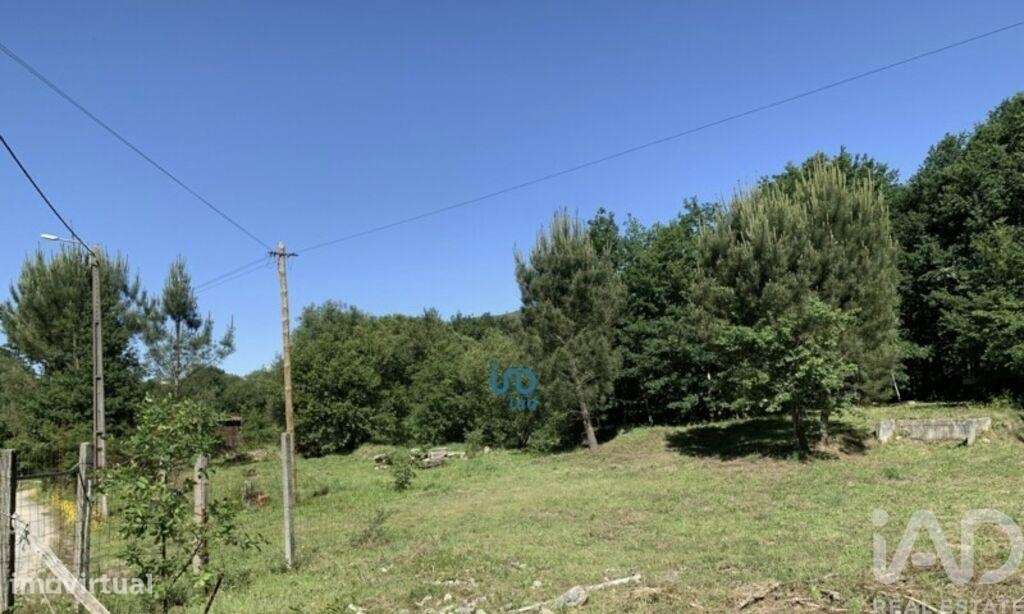 Terreno Agrícola em Covas - Grande imagem: 4/9