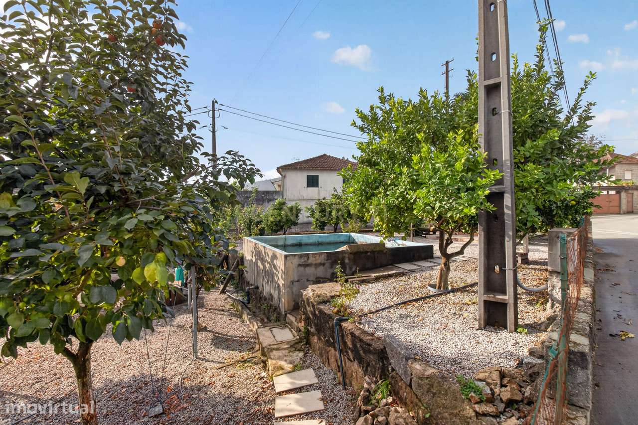 Terreno de construção em Alvito S. Martinho.-7