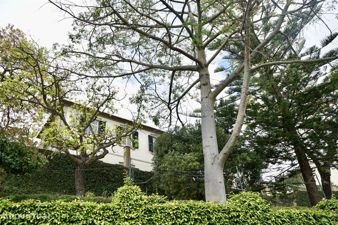 Fantástica moradia num lote de 1360m2-37