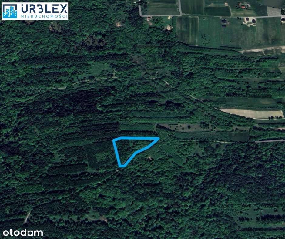 Działka rolno - leśna - Pełny obrazek: 4/4