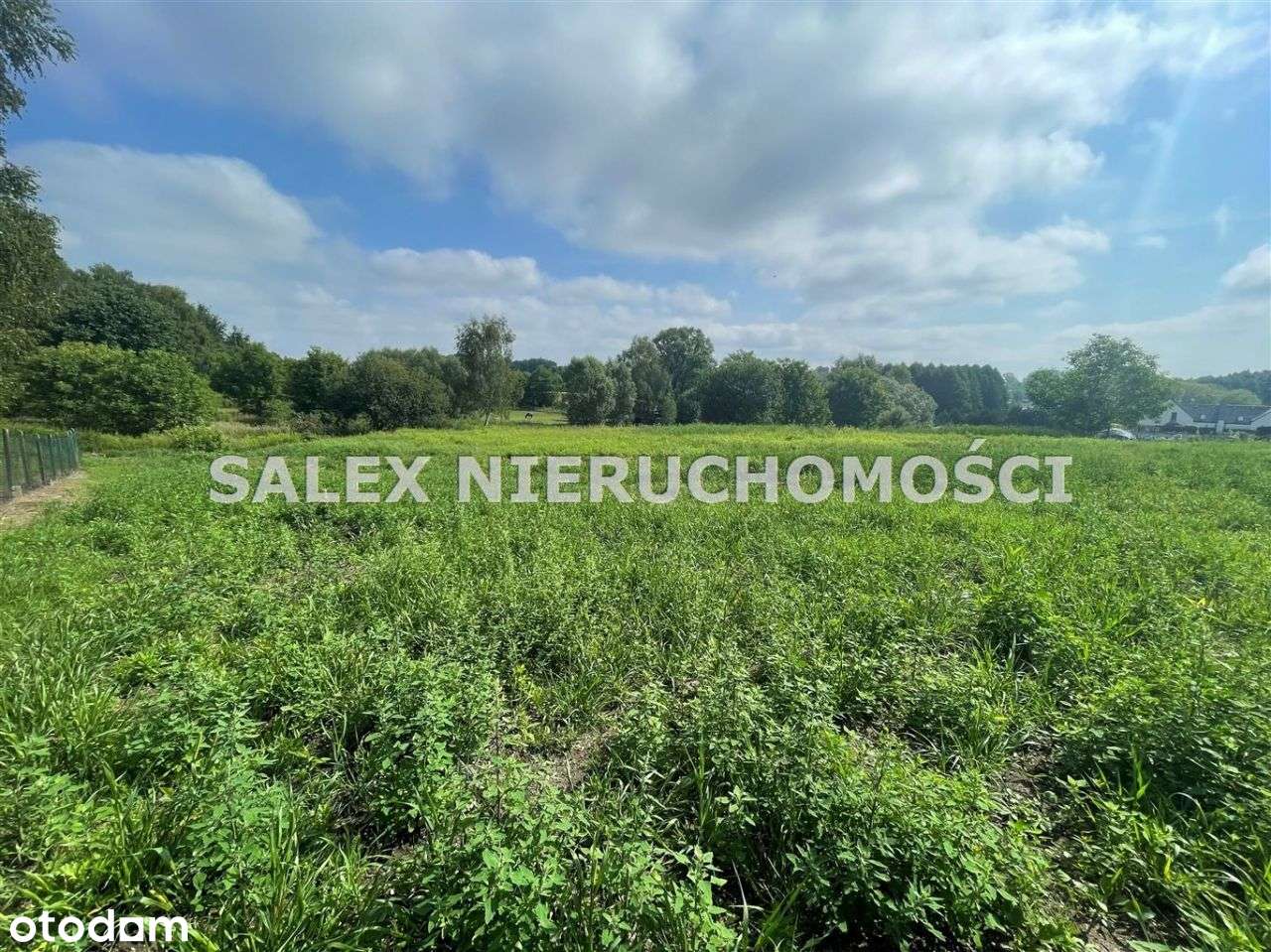 Działki Budowlane Rybnik, Niedobczyce-4297m2-0