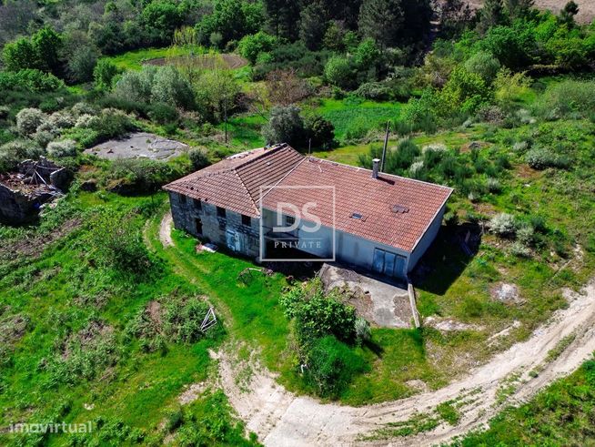 Quinta de sonho em Baião, Grilo.-1