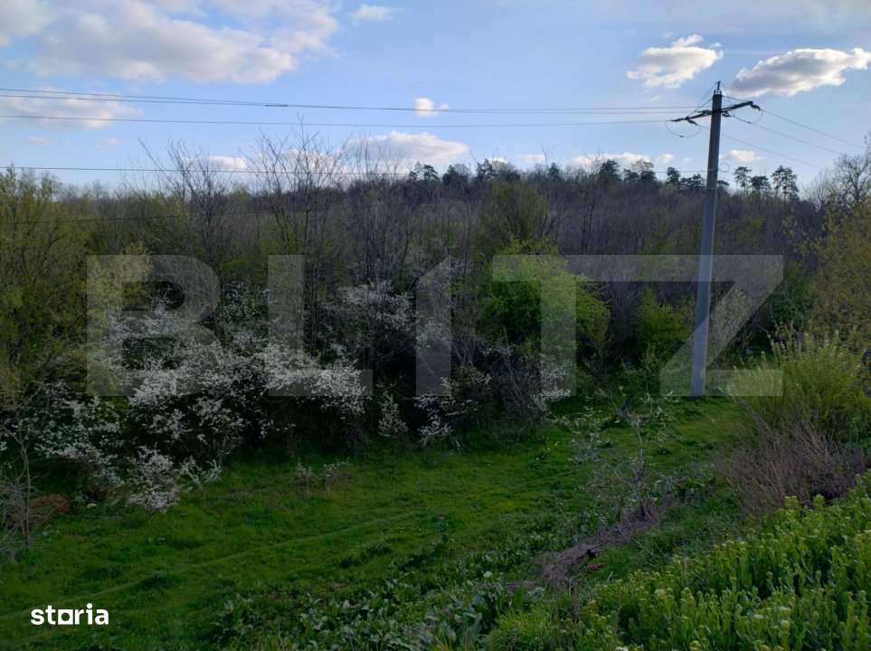 Teren padure 10 ha, extravilan, 400 ml deschidere, stradal, zona Breas - Imagine principală: 3/3