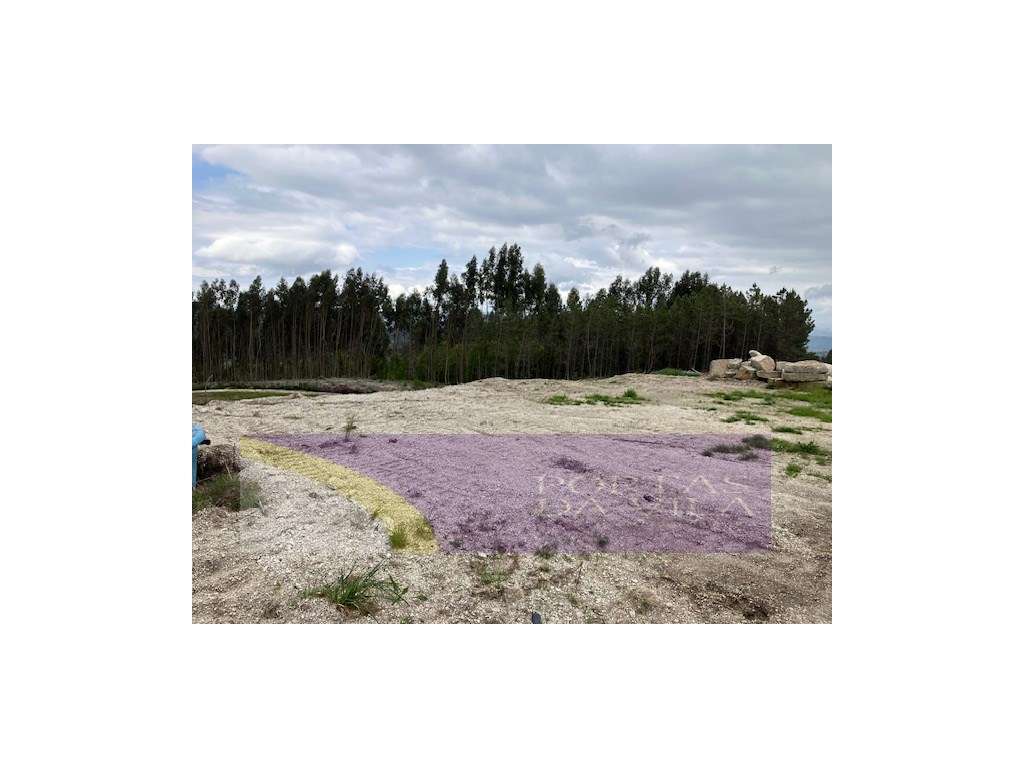 Terreno, Celorico de Bastos-6