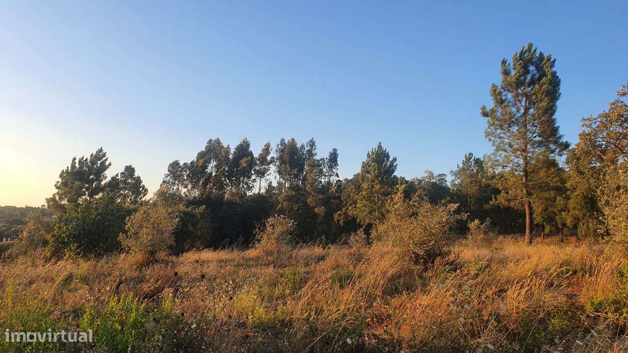 Terreno para Moradia com vista para a Serra D'Aire e Candeeiros-6