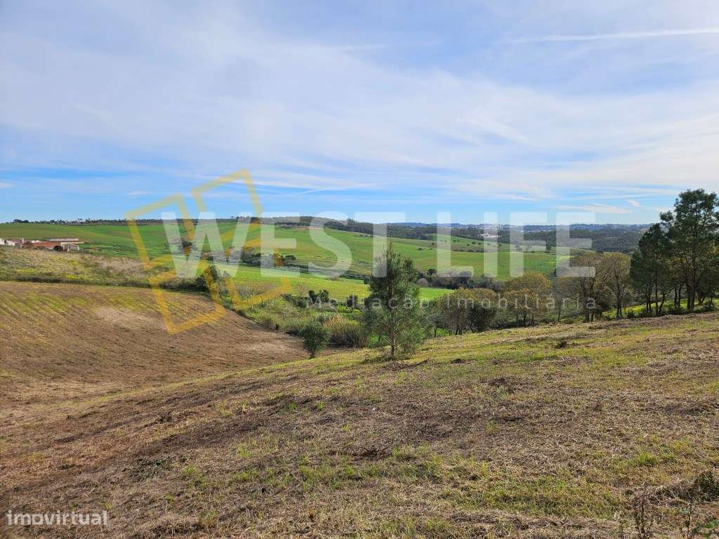 Terreno RÚSTICO Urbanizável 7874m2 em Bracial - Ericeira - Grande imagem: 5/20