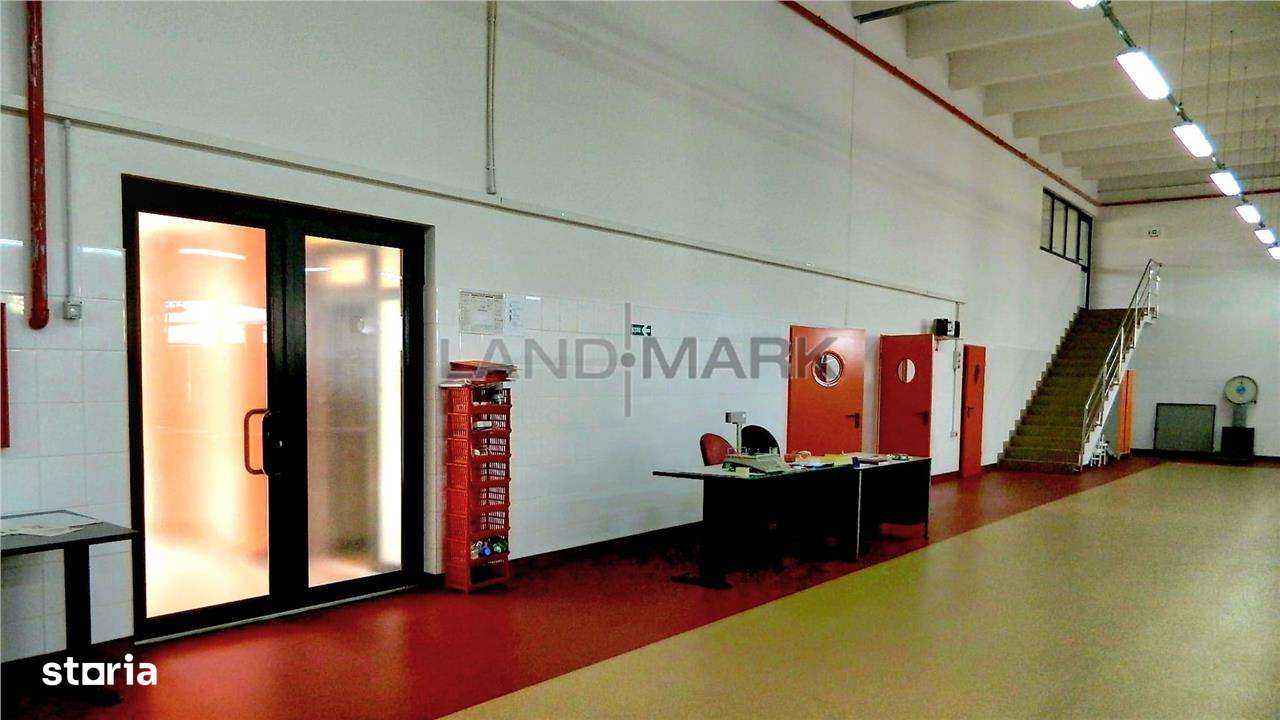 Hala industriala, 1600 mp cu teren 6500 mp , Timisoara Nord Vest-8