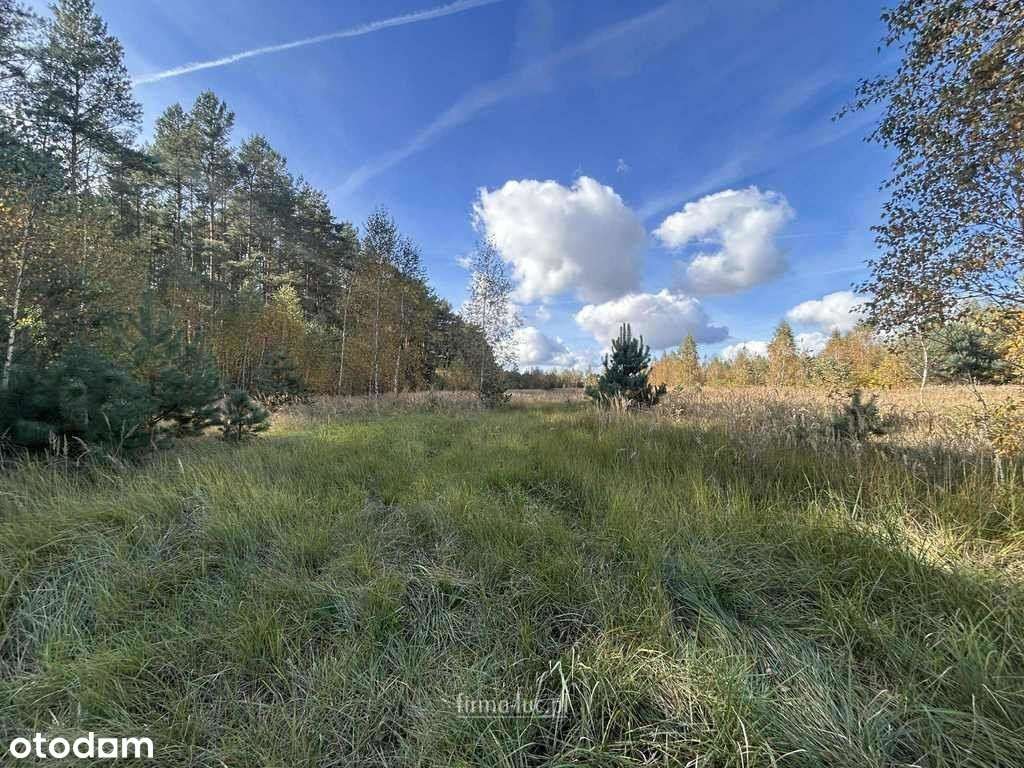 Działki z Mpzp nad Zalewem Bledzewskim, bez Pcc - Pełny obrazek: 4/6