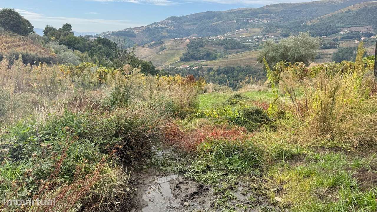 Quinta do Prado em Moura Morta, Régua-19