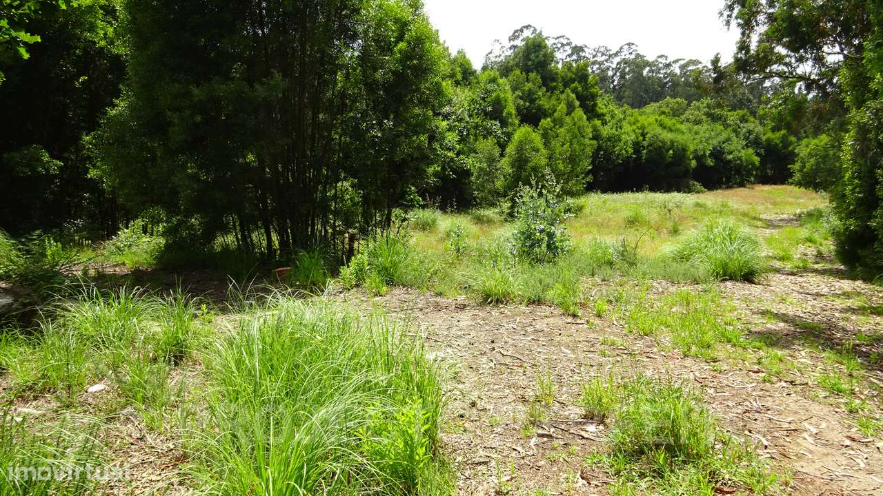 Lote de Terreno  Venda em Grijó e Sermonde,Vila Nova de Gaia - Grande imagem: 5/10