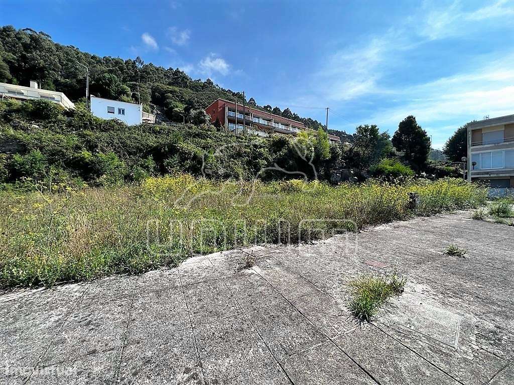 Lote Areosa - Grande imagem: 3/5