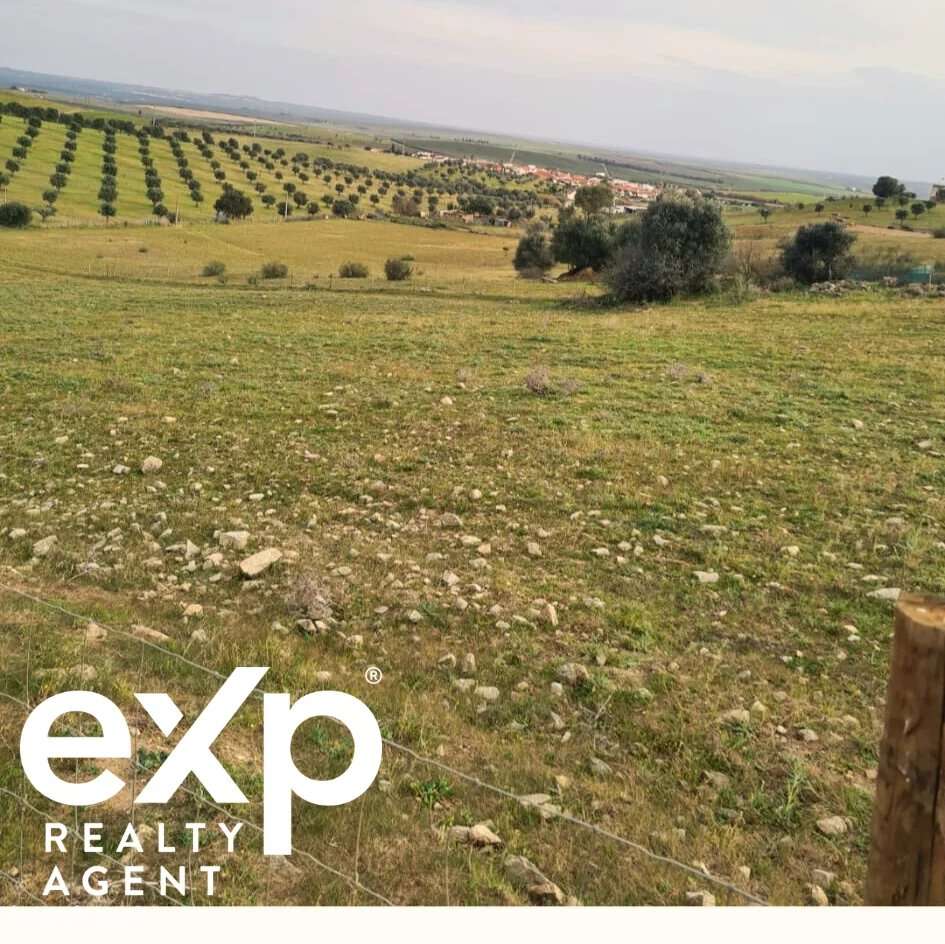 Terreno rustico Baixo Alentejo 4.1 hectares - Grande imagem: 5/9