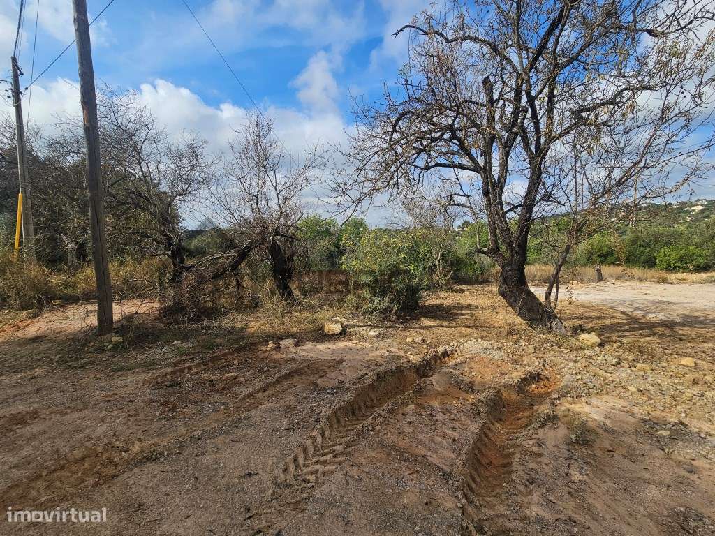 terreno rústico a 5 minutos de Loulé - Grande imagem: 4/10
