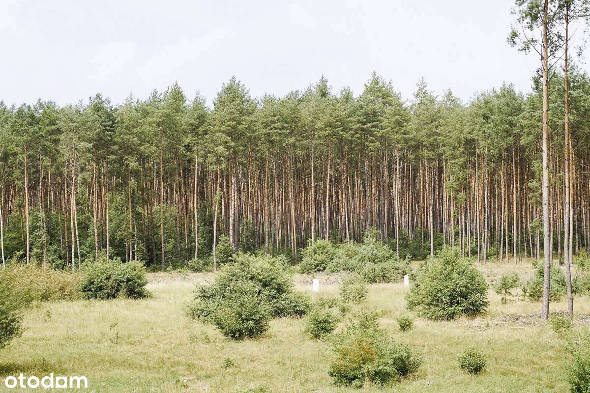 Wyłączność urokliwa działka ok. Z.Góry-5