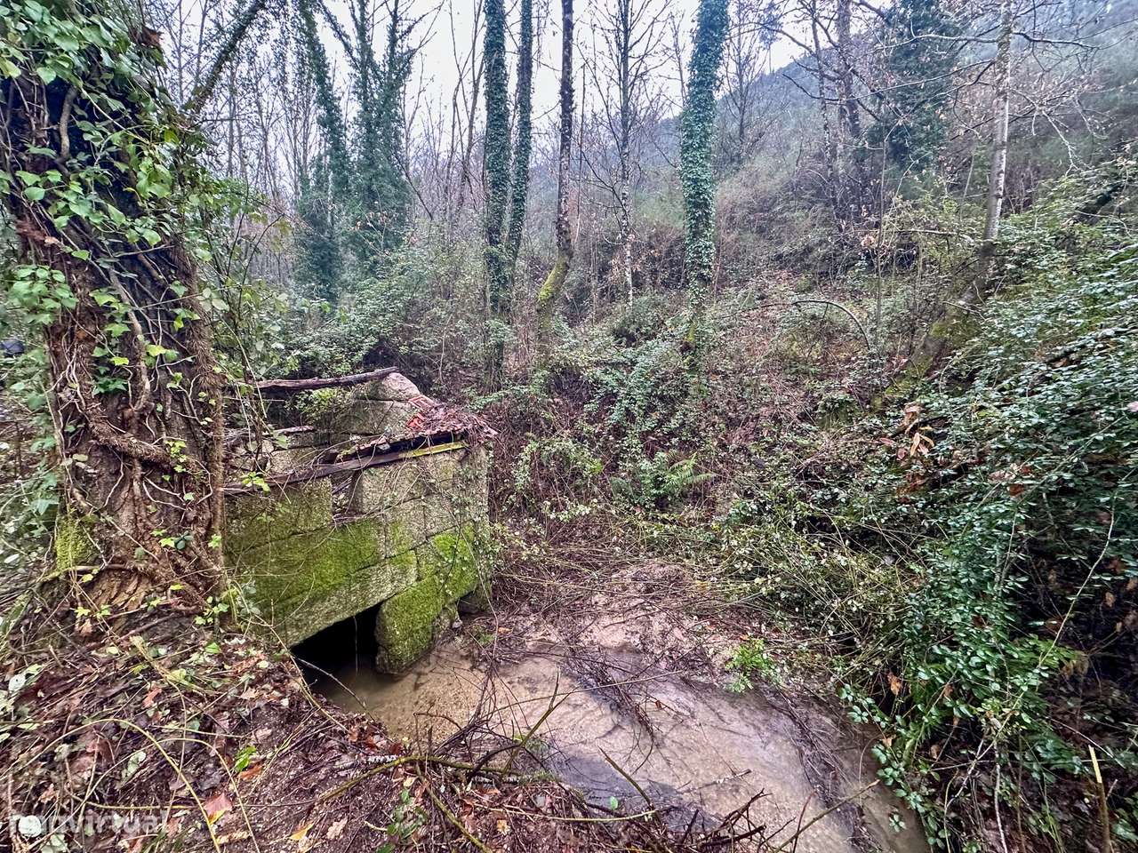 Quinta  Venda em Bustelo, Carneiro e Carvalho de Rei,Amarante - Grande imagem: 4/20