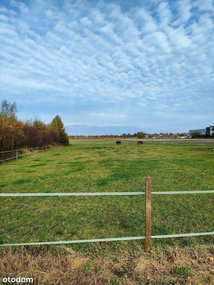 Super działka inwestycyjna blisko Warszawy - Pełny obrazek: 4/7