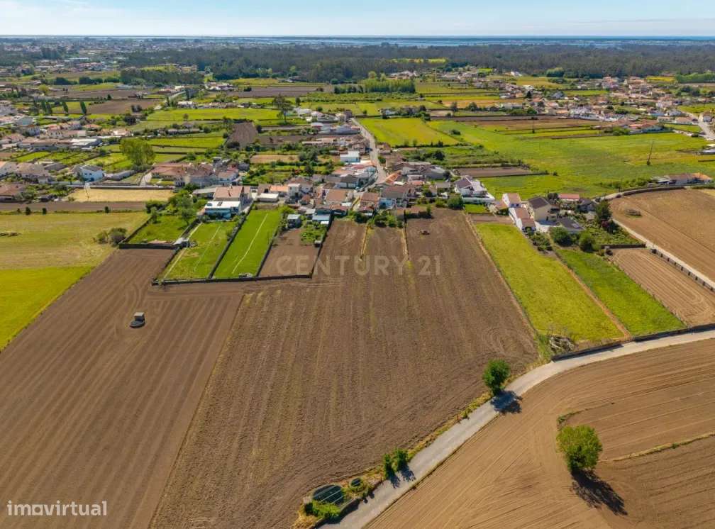 Terreno com Potencial de Construção em Avanca, Estarreja-6