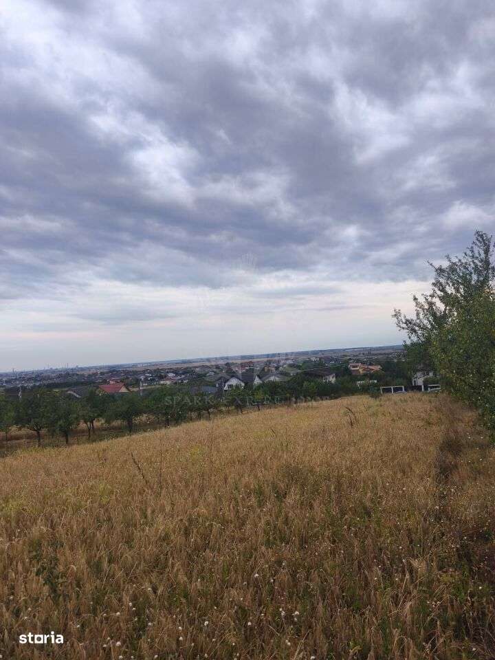 TEREN PAULESTI//10.000 MP - Imagine principală: 2/12