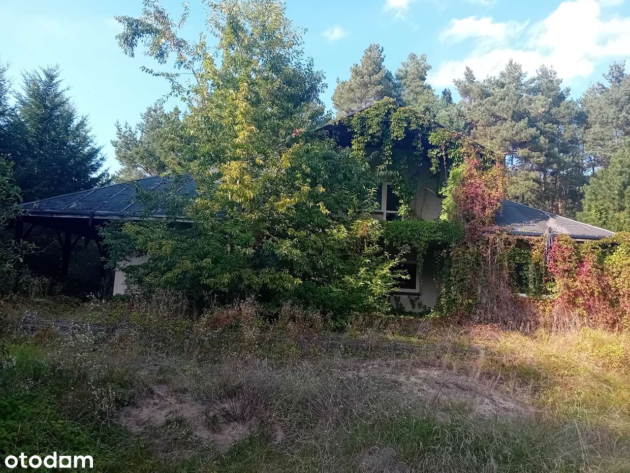 Dom, 300 m², Osłonin - Pełny obrazek: 3/12