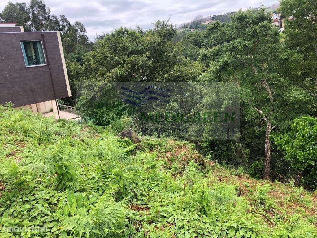 TERRENO URBANIZÁVEL COM VISTA RIO - Grande imagem: 4/6