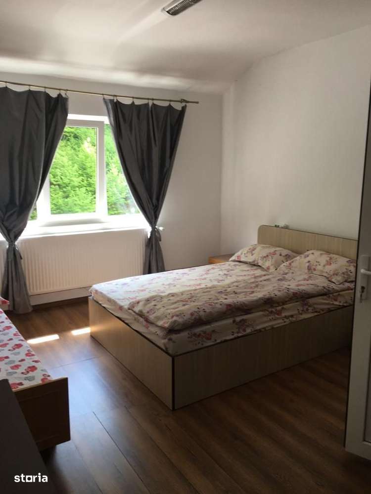 Pensiune turistica Valiug-11