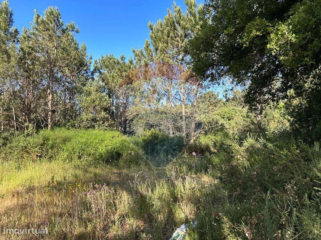 Terreno  para venda - Grande imagem: 5/8