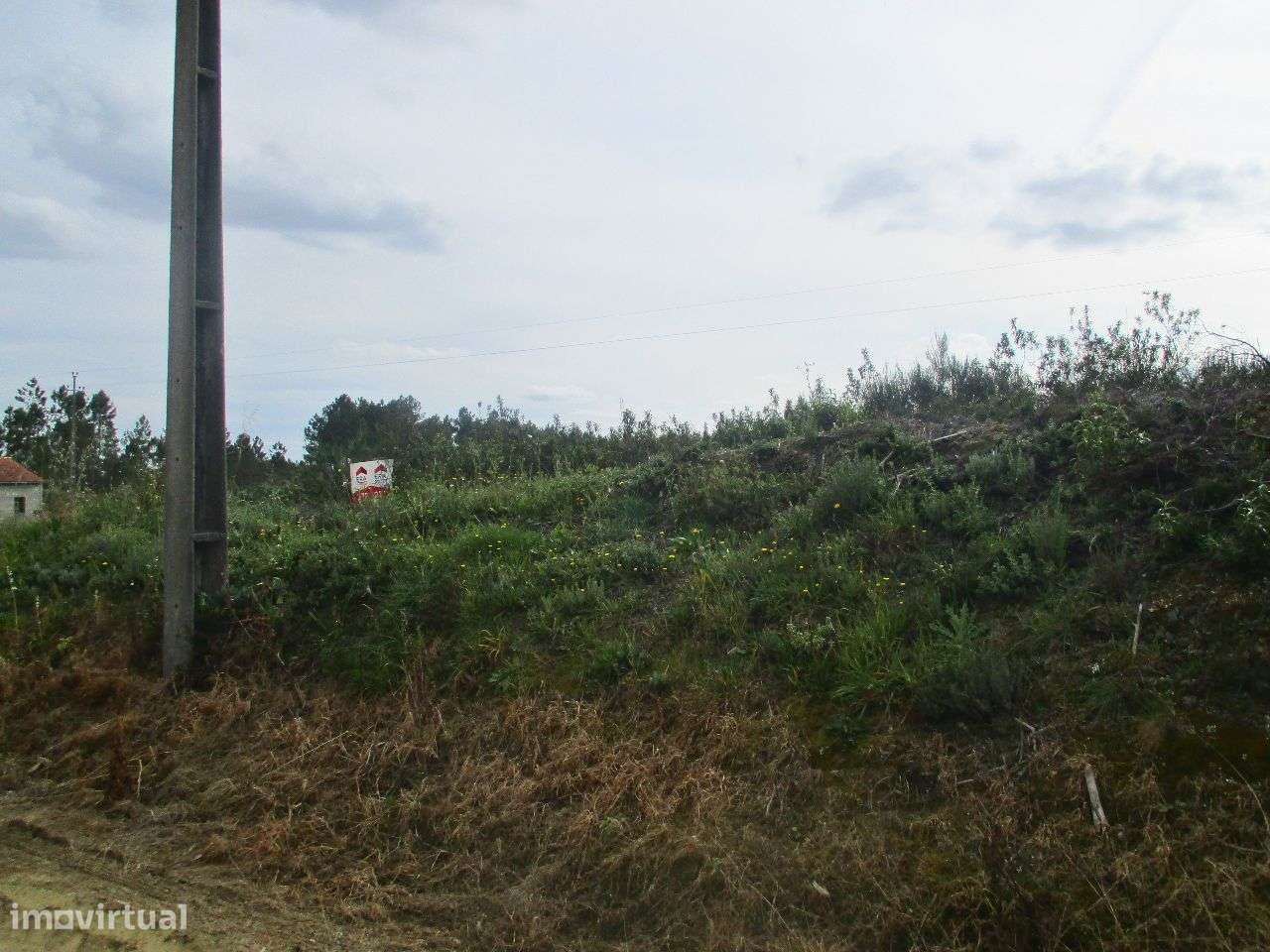 Terreno - Grande imagem: 1/4