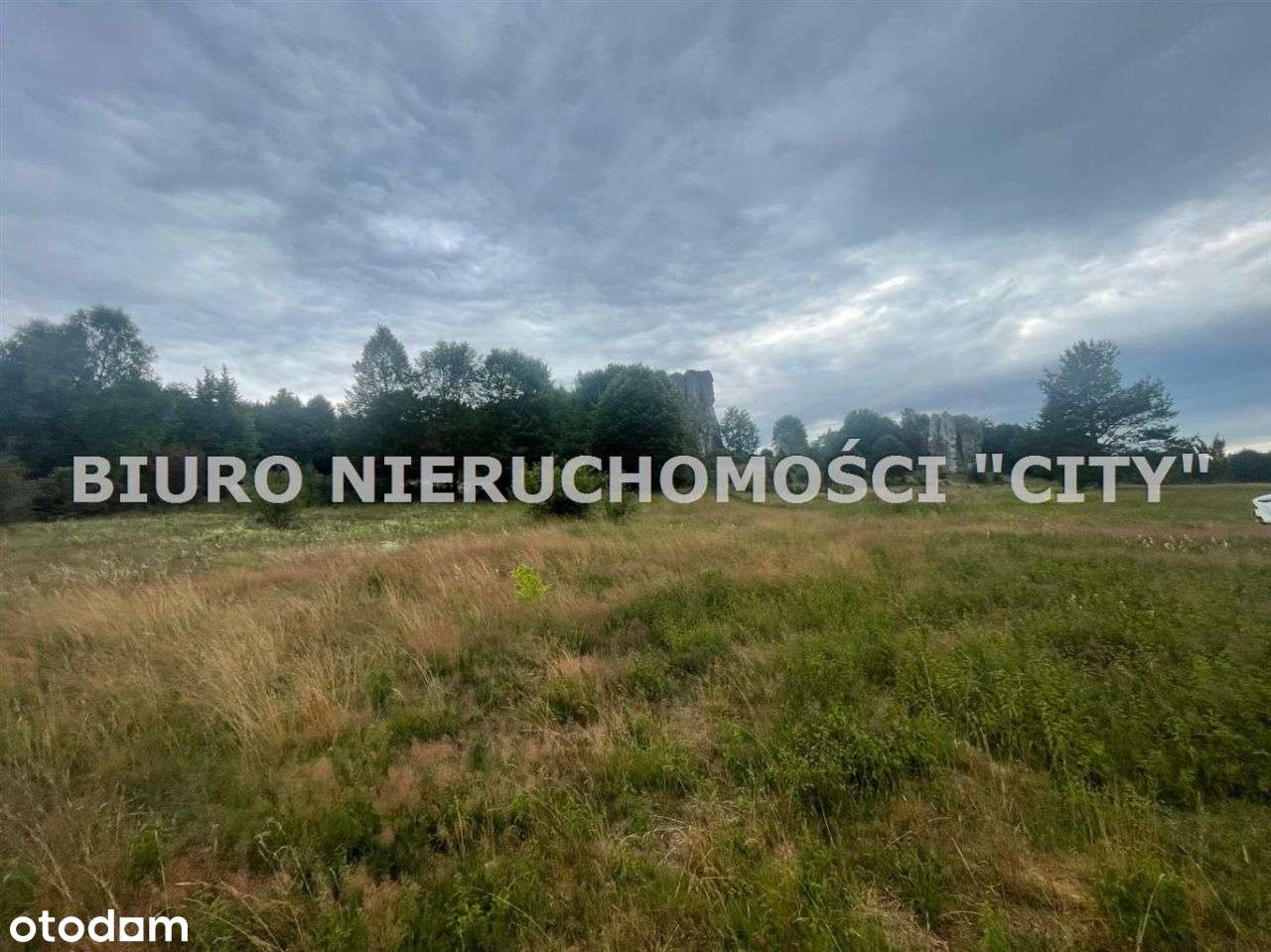 Działka, 1 827 m², Łutowiec - Pełny obrazek: 5/10