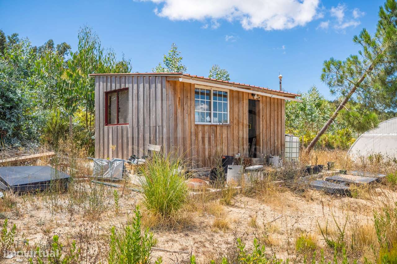 Terreno Agrícola na Fanadia | 16.100 m² de Potencial e Infraestrutu...-31