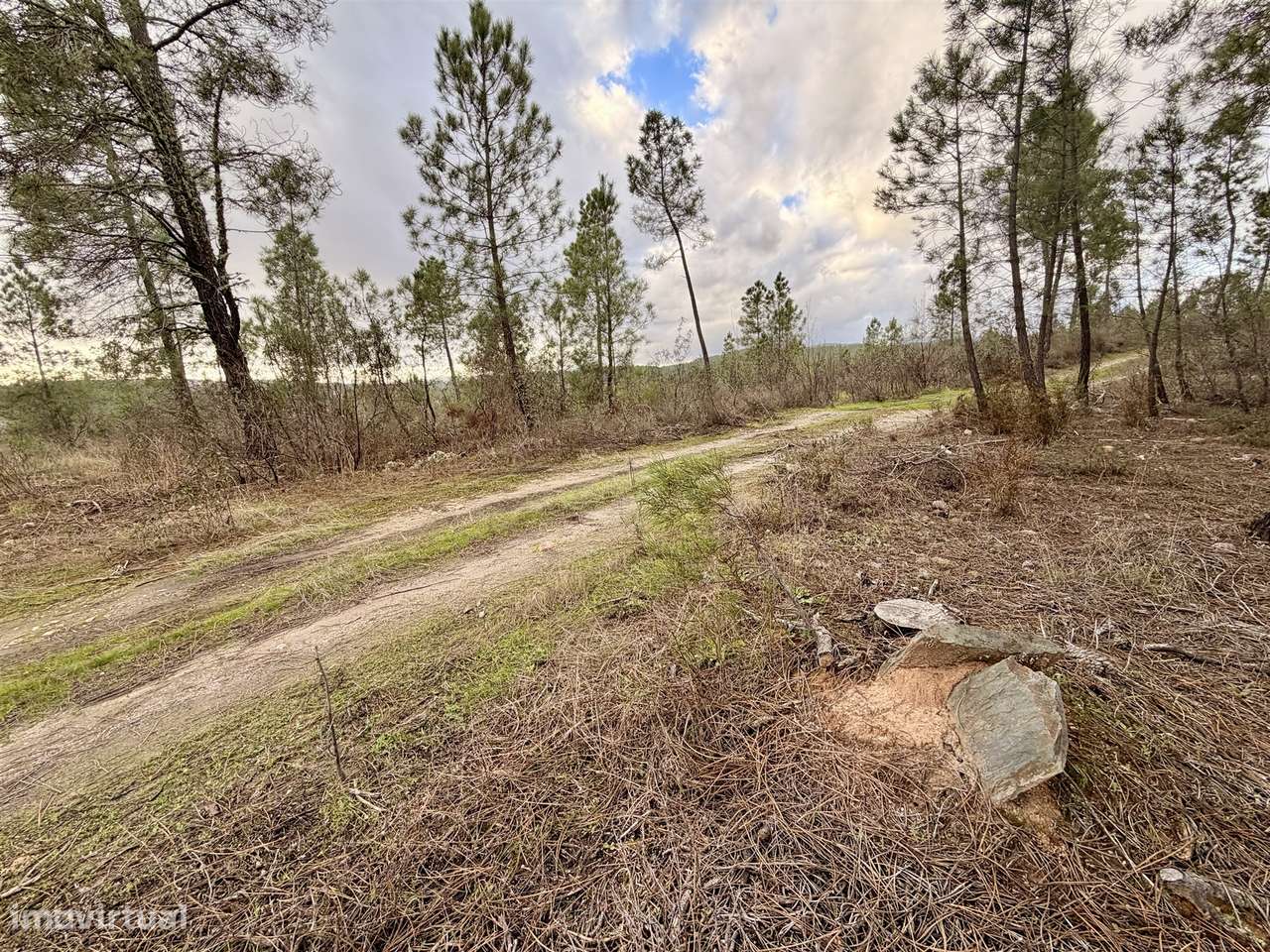 Quinta T0 Venda em Sarzedas,Castelo Branco-22