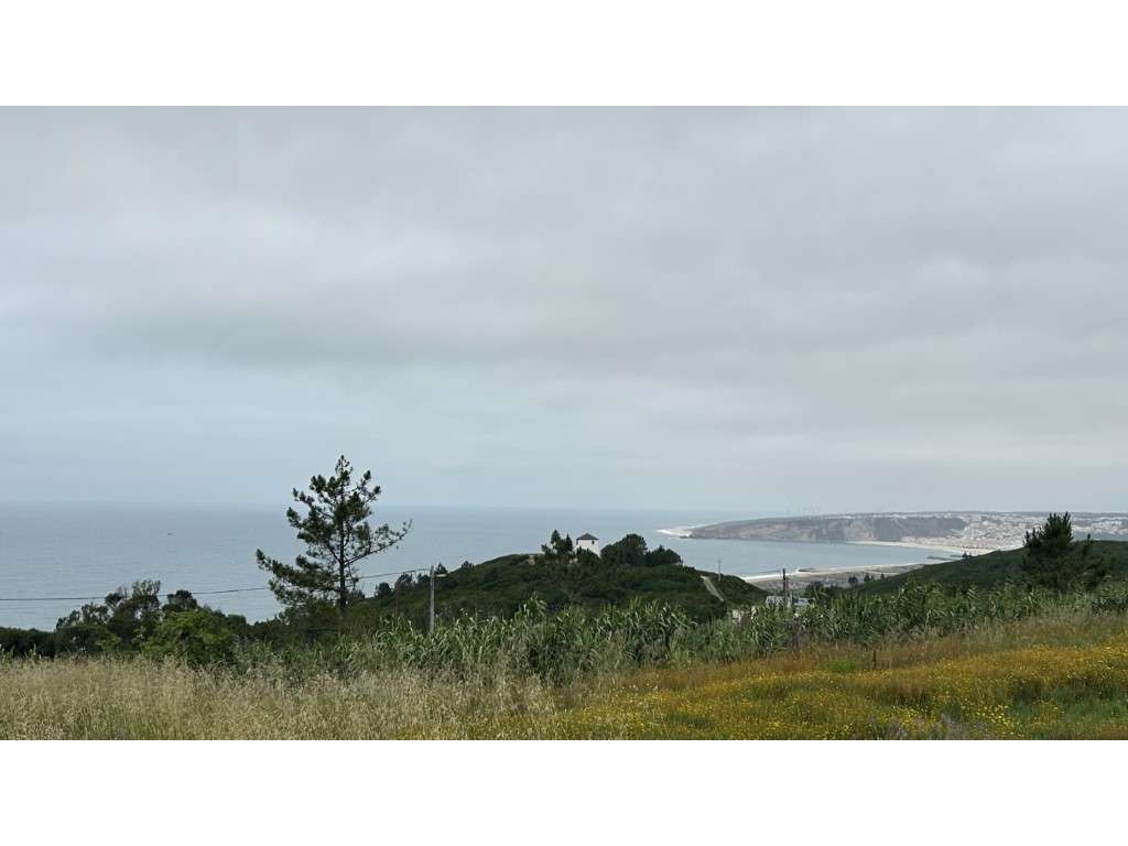 Terreno de exceção na Nazaré, com vista mar e projeto aprovado!-6