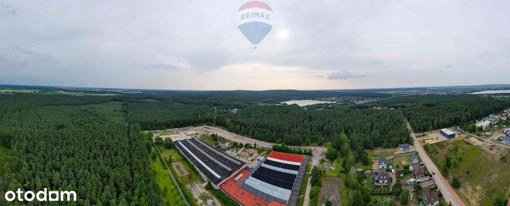 Działka, 80 100 m², Chodzież - Pełny obrazek: 4/19