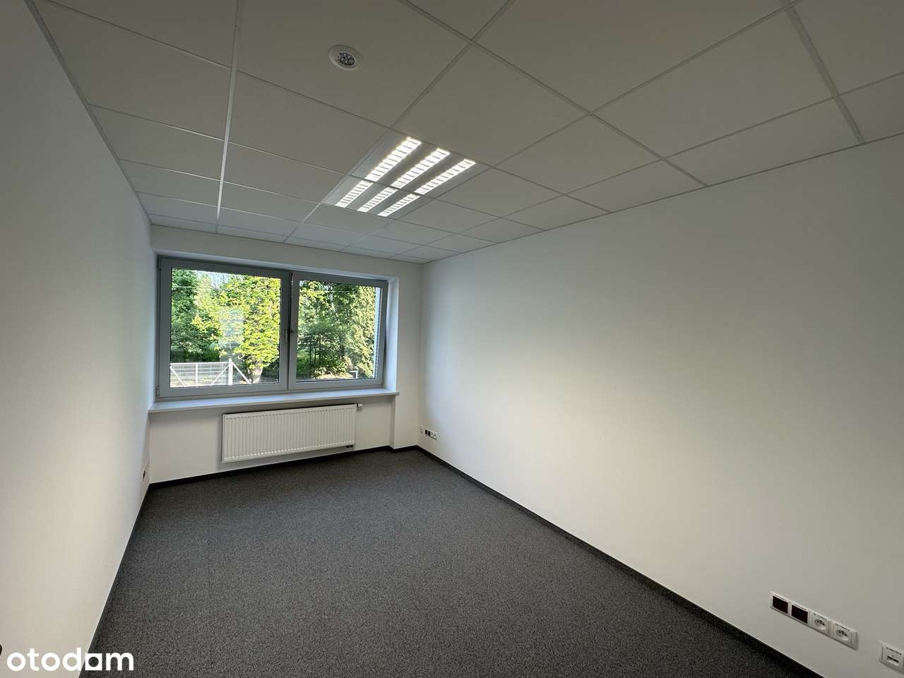 14 pokoi gabinetów dwa poziomy w biurowcu klasy A Bielany - Pełny obrazek: 4/13