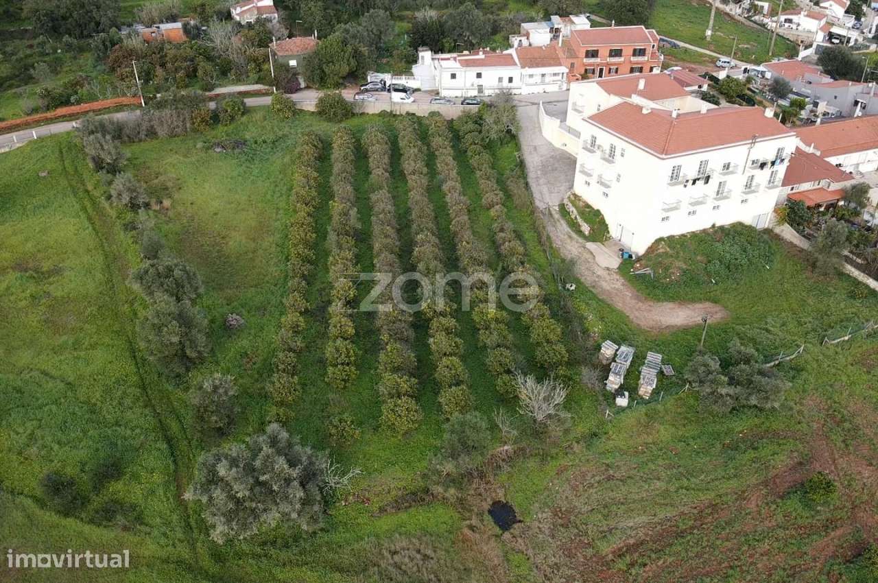 Terreno c/ 3.489m2 em Furadouro, São Bartolomeu de Messines - Grande imagem: 5/16